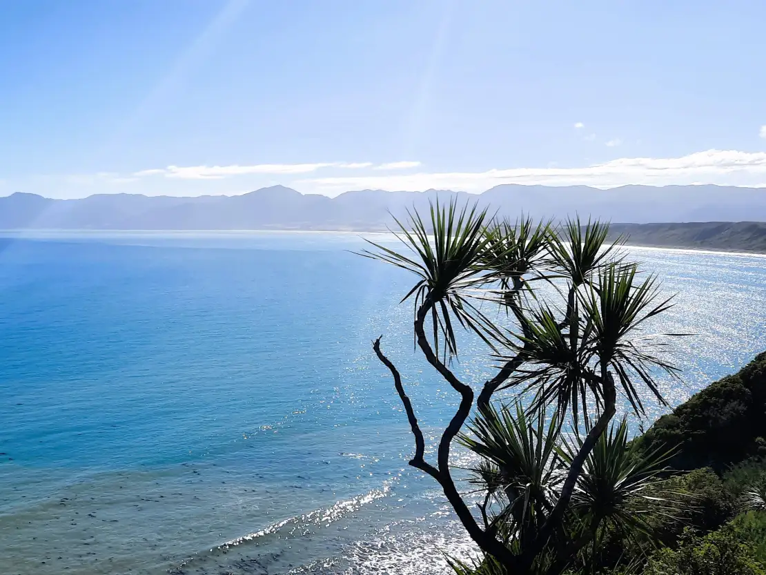 A beautiful Pacific Ocean view